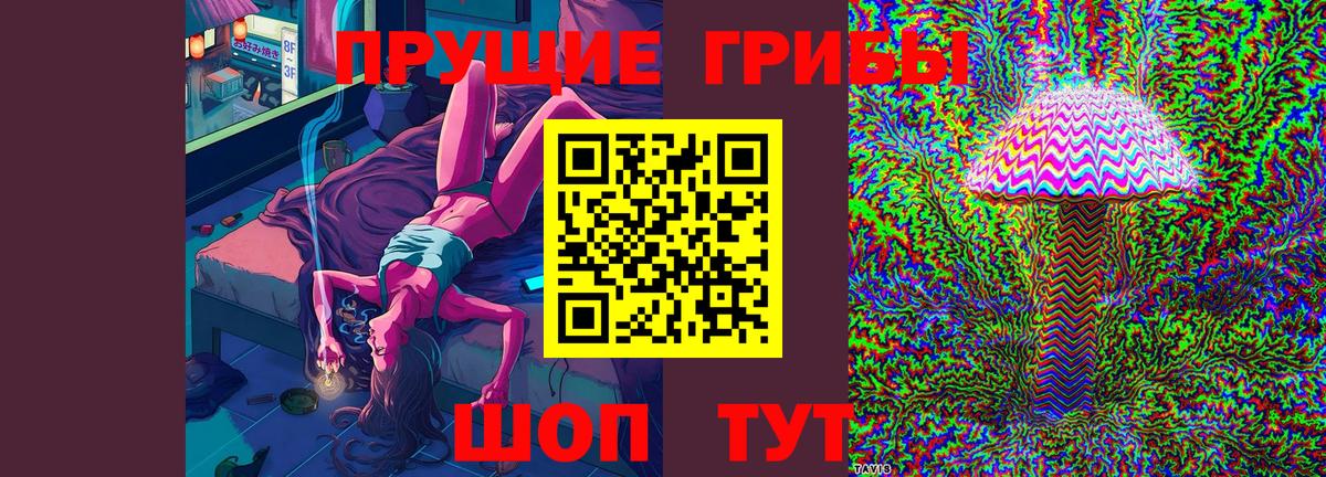 Галлюциногенные грибы ЛСД  Вход с VPN  Новый Уренгой 