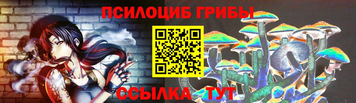 Псилоцибиновые грибы мицелий Новый Уренгой