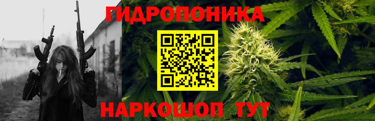 МАРИХУАНА сатива Новый Уренгой